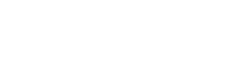 Strategy Insights Logo